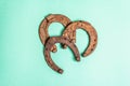 Cast iron metal horseshoes Royalty Free Stock Photo