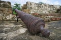 Cast iron old cannon in Panama Royalty Free Stock Photo