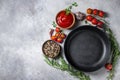 Cast iron pan and spices on a concrete background with copy space. Empty iron pan Royalty Free Stock Photo