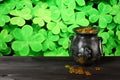 Cast iron pot, decorated by four-petal lucky shamrock leaf, full of leprechaun gold treasure on wooden table, shamrock leaves