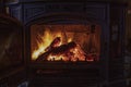 Cast iron wood burning stove showing active fire inside metal heating unit for home heating Royalty Free Stock Photo