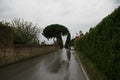 Castagneto carducci in tuscany, italy