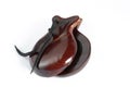 Castanets Royalty Free Stock Photo