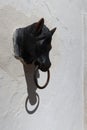 Horse head to tie the animals on the facade of a house in Castano del Robledo, magical town of Andalusia. Huelva, Spain