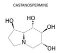 Castanospermine alkaloid molecule. Isolated from Castanospermum australe. Skeletal formula.