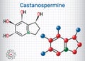 Castanospermine indolizidine alkaloid molecule. Sheet of paper in a cage. Structural chemical formula and molecule model