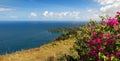 Castara bay and flowers - Caribbean sea