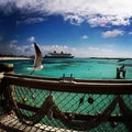 Castaway Cay