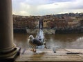 Castel Sant`Angelo in Rome