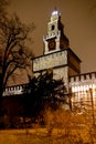 Castel Sforzesco - Milano - Two