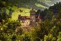 The castel of Vlad the Impaler Royalty Free Stock Photo