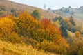 Autumn Carpathians (Ukraine). Royalty Free Stock Photo