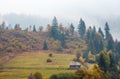 Autumn Carpathians (Ukraine). Royalty Free Stock Photo