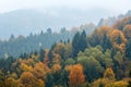 Autumn Carpathians (Ukraine). Royalty Free Stock Photo