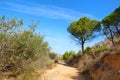 Castell de Montgri hiking trail