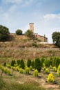 Castle of Sant Miquel at CastellterÃÂ§ol town