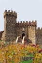 Castello di Amorosa Royalty Free Stock Photo