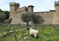 Castello di Amorosa Winery in Napa Valley Royalty Free Stock Photo