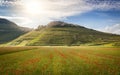 Castelluccio in a blooming field of poppies, Piano Grande, Italy Royalty Free Stock Photo