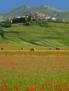 Castelluccio di norcia Royalty Free Stock Photo