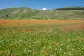 Castelluccio di Norcia Royalty Free Stock Photo