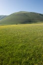 Castelluccio di Norcia Royalty Free Stock Photo