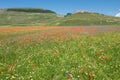 Castelluccio di Norcia in the Sibillini Park Royalty Free Stock Photo