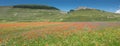 Castelluccio di Norcia in the Sibillini Park Royalty Free Stock Photo