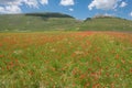 Castelluccio di Norcia in the Sibillini Park Royalty Free Stock Photo