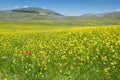 Castelluccio di Norcia in the Sibillini Park Royalty Free Stock Photo