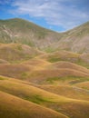 Castelluccio di Norcia, in Umbria, Italy. Rolling, colourful hills, golden hour evening landscape. Vertical.