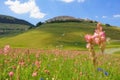 Castelluccio at the flowering Royalty Free Stock Photo