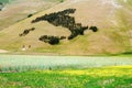Castelluccio of Norcia, Umbria, Italy Royalty Free Stock Photo