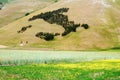 Castelluccio of Norcia, Umbria, Italy