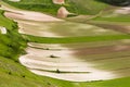 Castelluccio Of Norcia