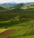 Castelluccio /spring landscape Royalty Free Stock Photo
