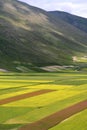 Castelluccio /spring landscape Royalty Free Stock Photo