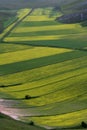 Castelluccio /spring landscape Royalty Free Stock Photo