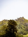 Castelo dos Mouros (Mourish Castle) from below. Sintra, Portugal