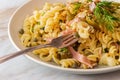 Italian Fusilli Pasta Mollicata Royalty Free Stock Photo