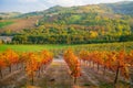 Castelvetro, Emilia Romagna, Italy. vineyards and hills in autumn Royalty Free Stock Photo