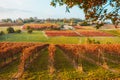 Castelvetro, Emilia Romagna, Italy. vineyards and hills in autumn Royalty Free Stock Photo