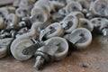 Casters wheels behind a shed abandoned Royalty Free Stock Photo