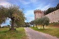 Castiglione del Lago, Perugia, Umbria, Italy: landscape of the shore of Trasimeno lake Royalty Free Stock Photo