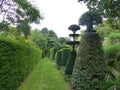 Castillon garden with bushes like sculptures in Normandy in France. Royalty Free Stock Photo