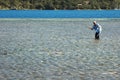 Casting for Bonefish