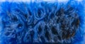 Casting epoxy resin Stabilizing Afzelia burl wood blue Royalty Free Stock Photo