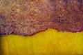 Casting epoxy resin stabilizing burl wood real abstract art background