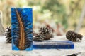 Casting epoxy resin Stabilizing pine cone red blue abstract art blur background