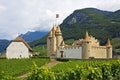 Castle Aigle, Switzerland